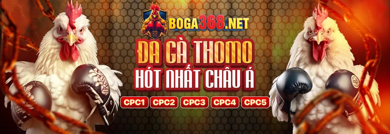 Các cấp độ VIP của 22win liên kết mới